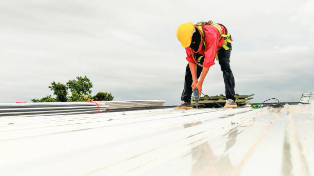 Best Asphalt Shingles Roofing  in Carson City, MI