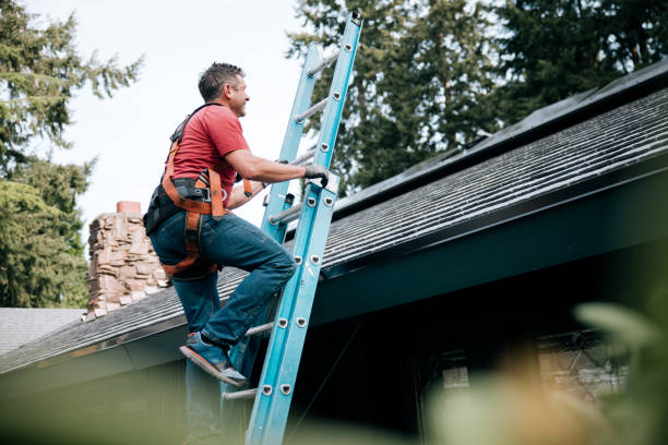 4 Ply Roofing in Carson City, MI