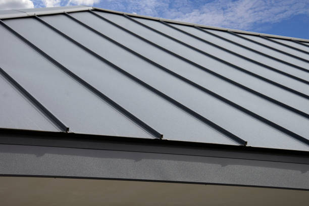 Best Metal Roofing Installation  in Carson City, MI